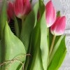 De 1 Martie, comanda flori online in Bucuresti si surprinde-i pe cei dragi!
