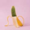 artistic-banana-bright-1170831