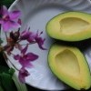 avocado-bright-color-9973891